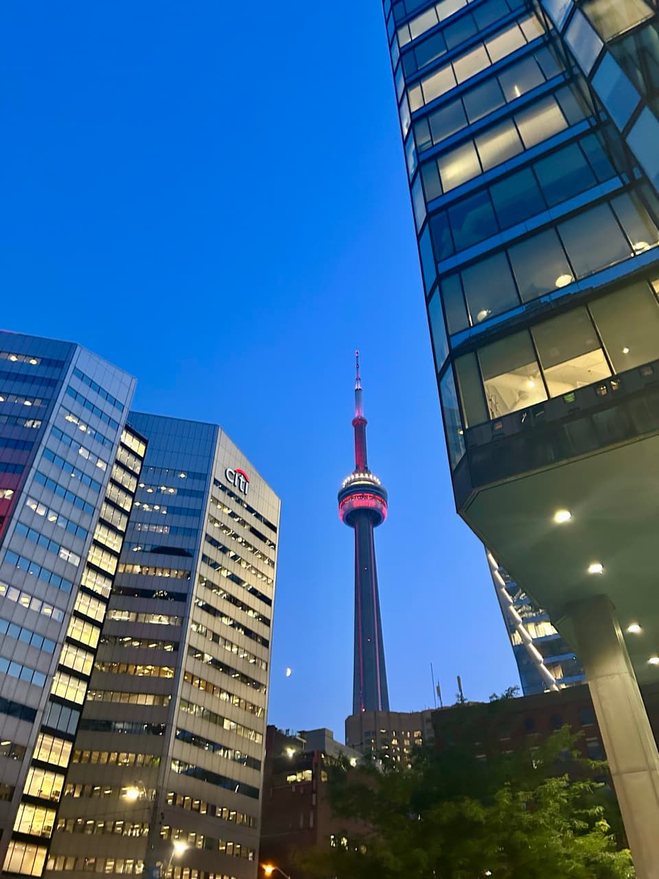 A Month at CSSLab in Toronto image 3